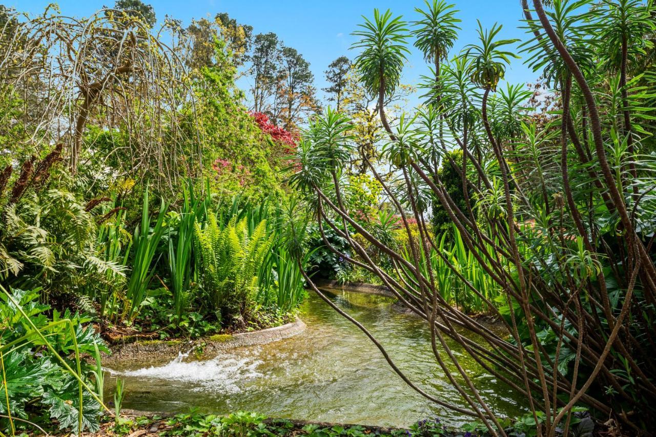 Parklands Country Gardens & Lodges Blue Mountains Блэкхит Экстерьер фото